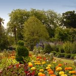 Botanics in Bloom is back for August
